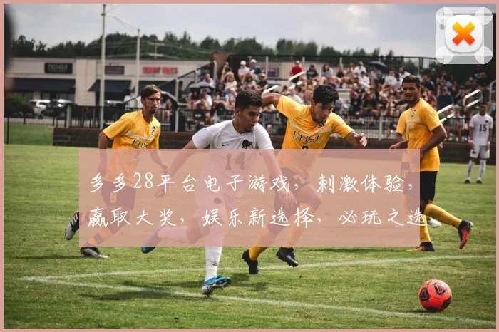 多多28平台电子游戏，刺激体验，赢取大奖，娱乐新选择，必玩之选